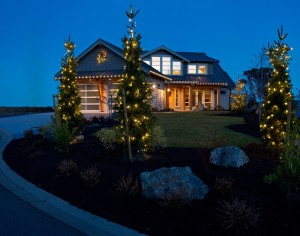 Christmas Lighting by the Pros