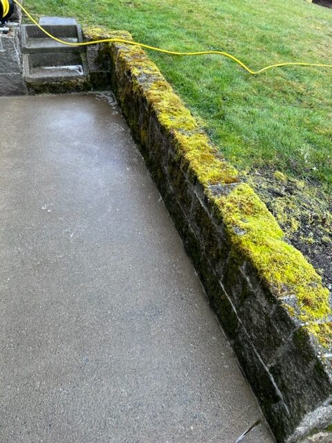 Garden wall before